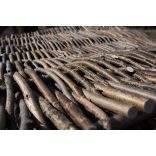 Mogyorófa kerítéselem több méretben